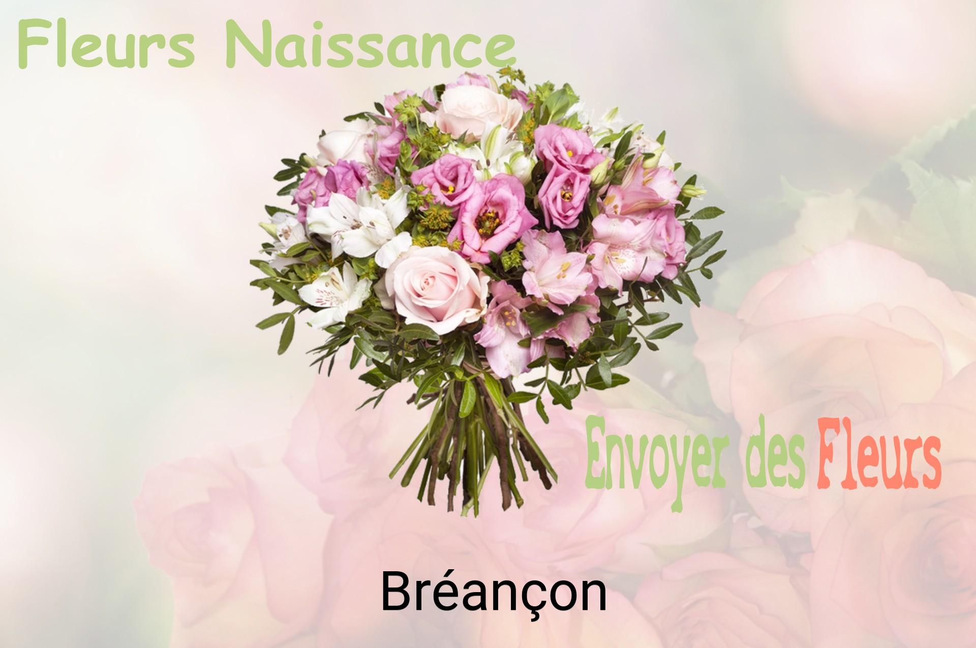 Bouquet de fleurs de naissance livré à Bréançon